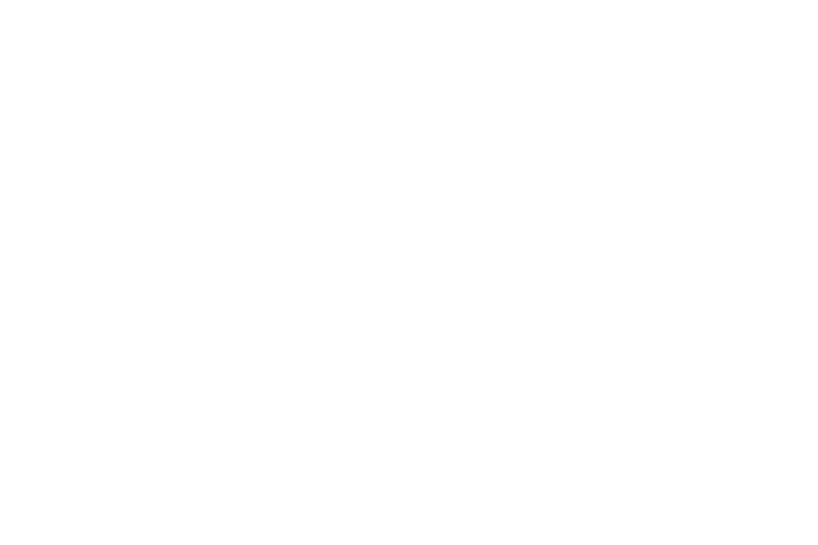 Digital Play Logo